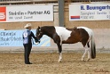 22-APHA HTB_049